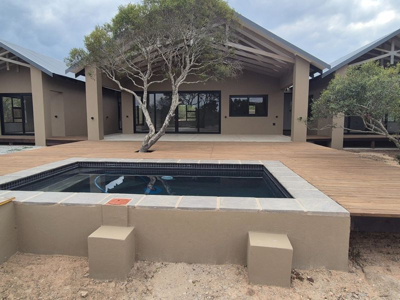 Rear exterior view featuring a modern swimming pool, extensive timber decking, and a covered patio area with large sliding glass doors.