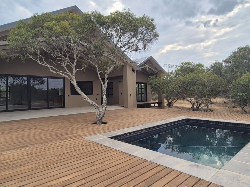 Modern outdoor living area featuring a timber deck, a built-in plunge pool, and large sliding glass doors leading into the home.
