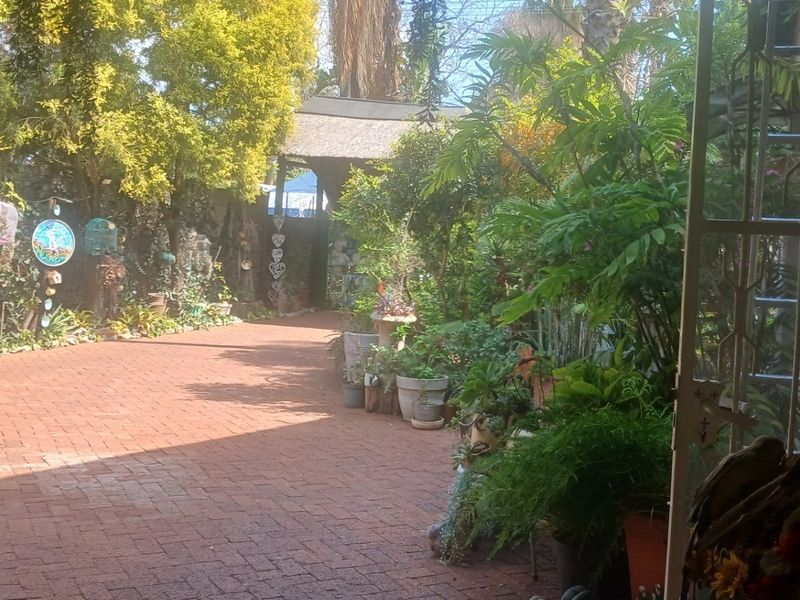 A rear garden area featuring brick paving, lush greenery, and a small thatched roof structure, viewed from a covered patio entrance.