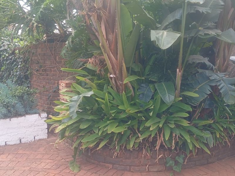 Front entrance area featuring brick paving, a brick retaining wall, and established garden landscaping with a partial view of a thatched roof structure.