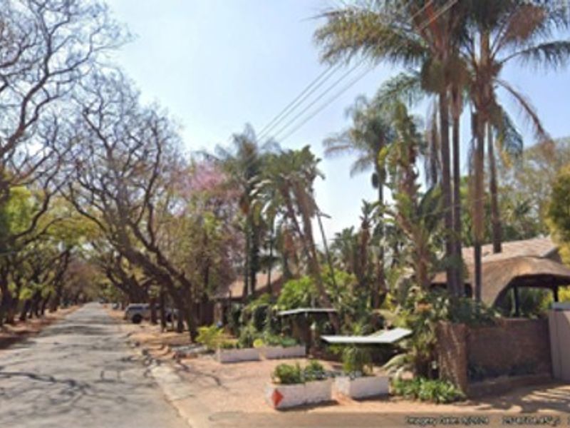A street-level view of the property frontage, featuring mature trees, a paved road, and a glimpse of the boundary wall and thatched roof structure.