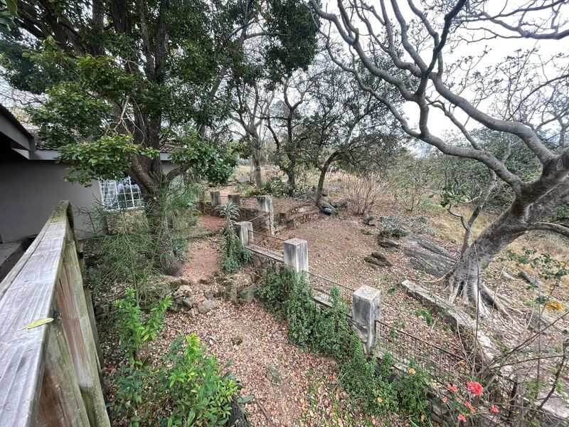 A sloped garden area featuring tiered retaining walls, mature trees, and natural rock formations, providing a rustic outdoor space with potential for landscaping.