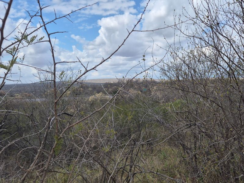 Three differently zoned, full title, properties For Sale in Mica, EREE, Hoedspruit - Photo 9