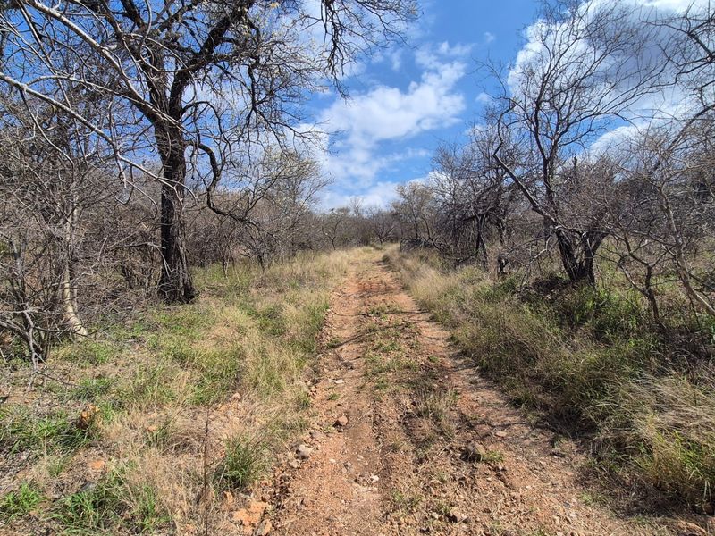 Three differently zoned, full title, properties For Sale in Mica, EREE, Hoedspruit - Photo 8