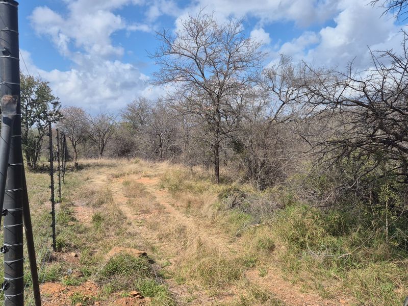 Three differently zoned, full title, properties For Sale in Mica, EREE, Hoedspruit - Photo 7