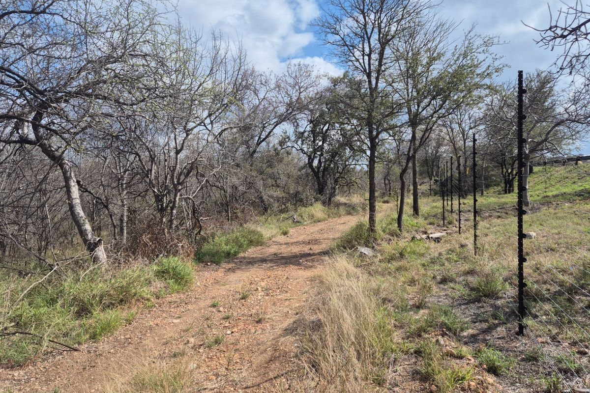 A view of the vacant residential land featuring natural vegetation and established electric perimeter fencing.