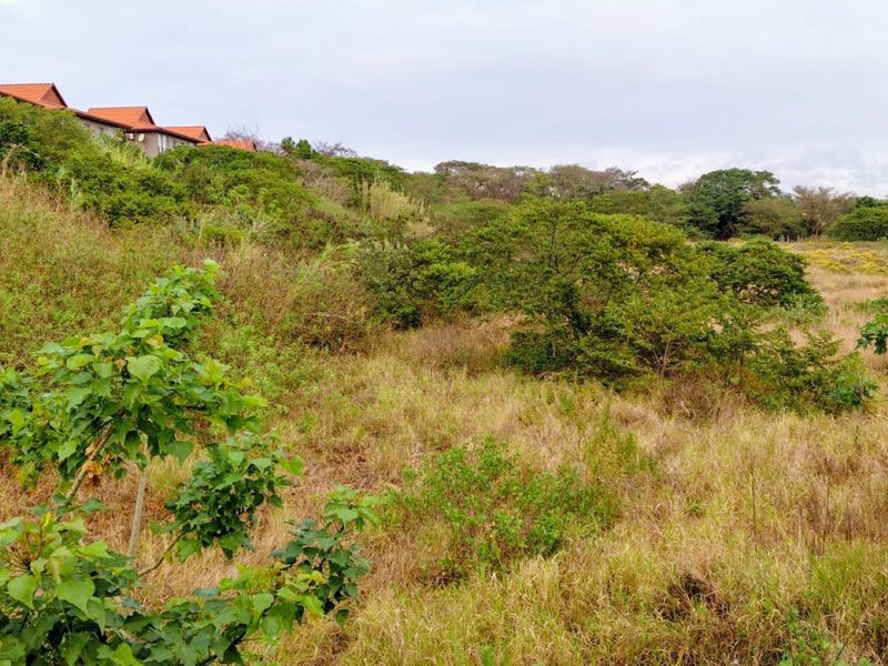 A view of a sloped, undeveloped residential plot featuring natural vegetation and surrounding landscape.