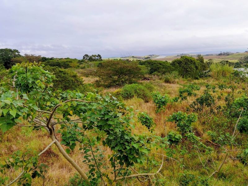 A view of the vacant residential land featuring natural vegetation and rolling landscape.