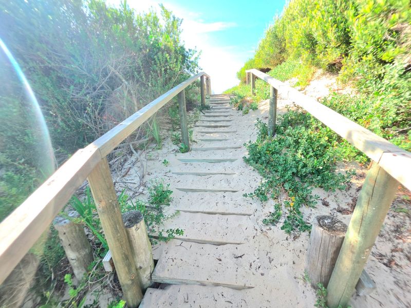 A timber staircase leading through a sandy path and coastal vegetation, providing direct outdoor access.