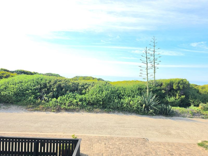 A scenic outdoor view featuring a paved driveway, metal railing, and natural coastal vegetation overlooking the ocean.