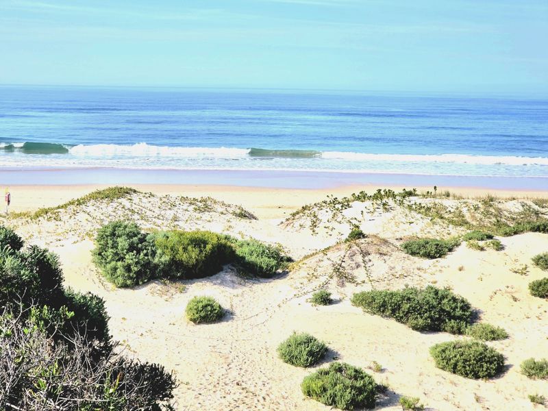 A scenic view of the coastal dunes leading directly onto the sandy beach and ocean.