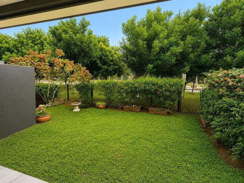 A well-maintained private garden area featuring lush green lawn, mature trees, and established hedging enclosed by a secure wire mesh fence.