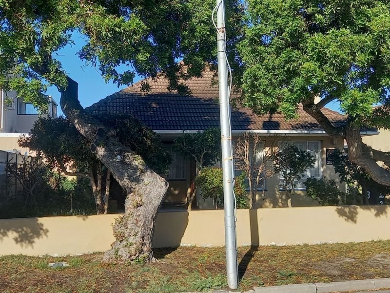 Front elevation of a residential house featuring a tiled roof, boundary wall, and mature trees providing shade to the property frontage.