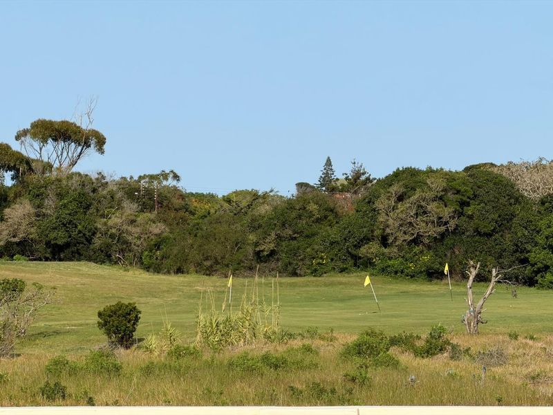 A scenic view of a golf course fairway bordered by mature trees and natural vegetation.