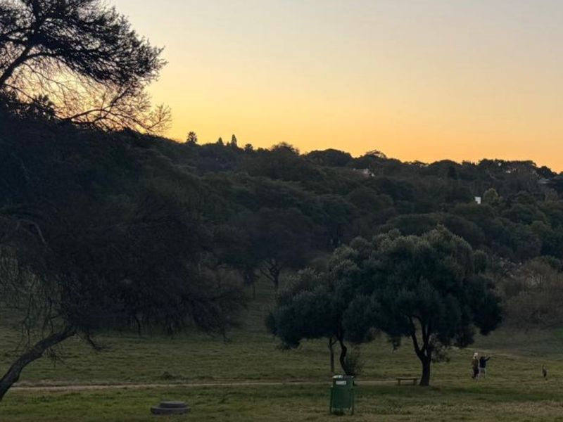 A scenic view of a natural landscape featuring mature trees and open grassland during sunset.