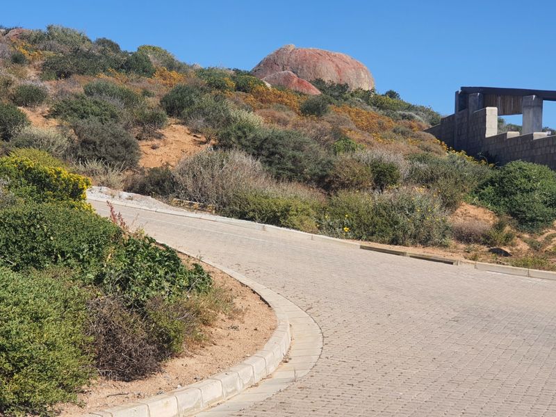 A view of a paved residential driveway winding up a sloped, landscaped plot with natural rock formations and a concrete retaining wall.