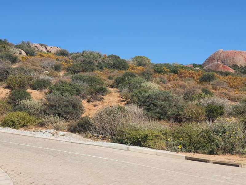 A view of the paved street frontage bordering a natural, rocky hillside with indigenous vegetation and large boulders.