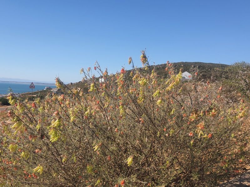 A scenic view of the coastal landscape and surrounding terrain, showcasing the natural vegetation and open space of the vacant residential land.