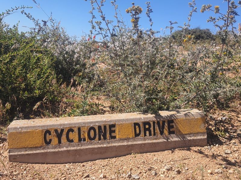 A street name sign for Cyclone Drive located on a vacant residential plot with natural vegetation.