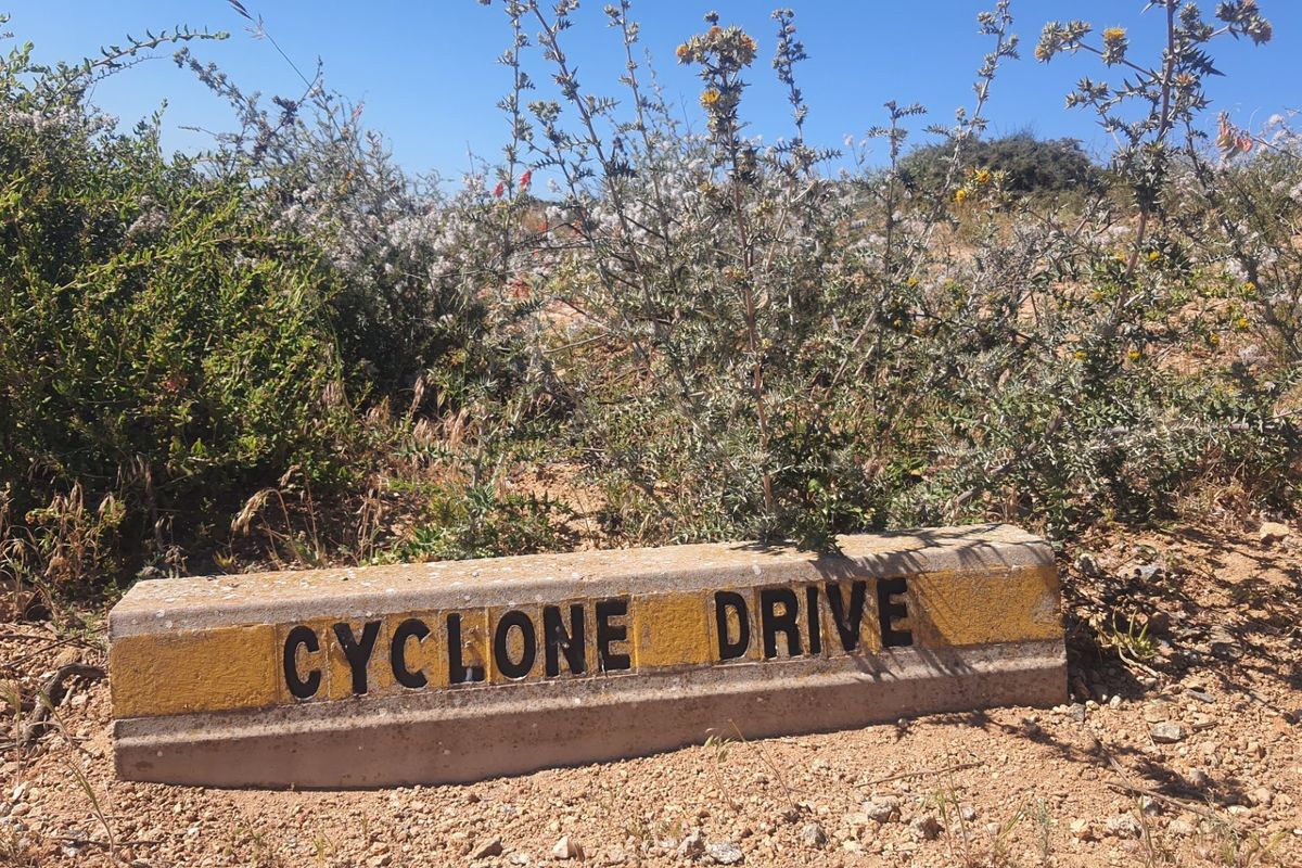 A street name sign for Cyclone Drive located on a vacant residential plot with natural vegetation.