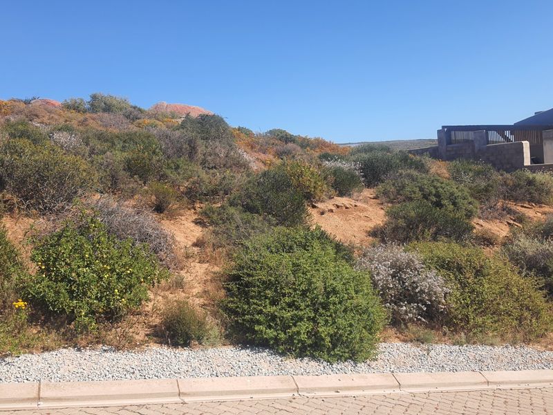 A sloped residential vacant land plot featuring natural vegetation, a paved curb, and an adjacent retaining wall structure.