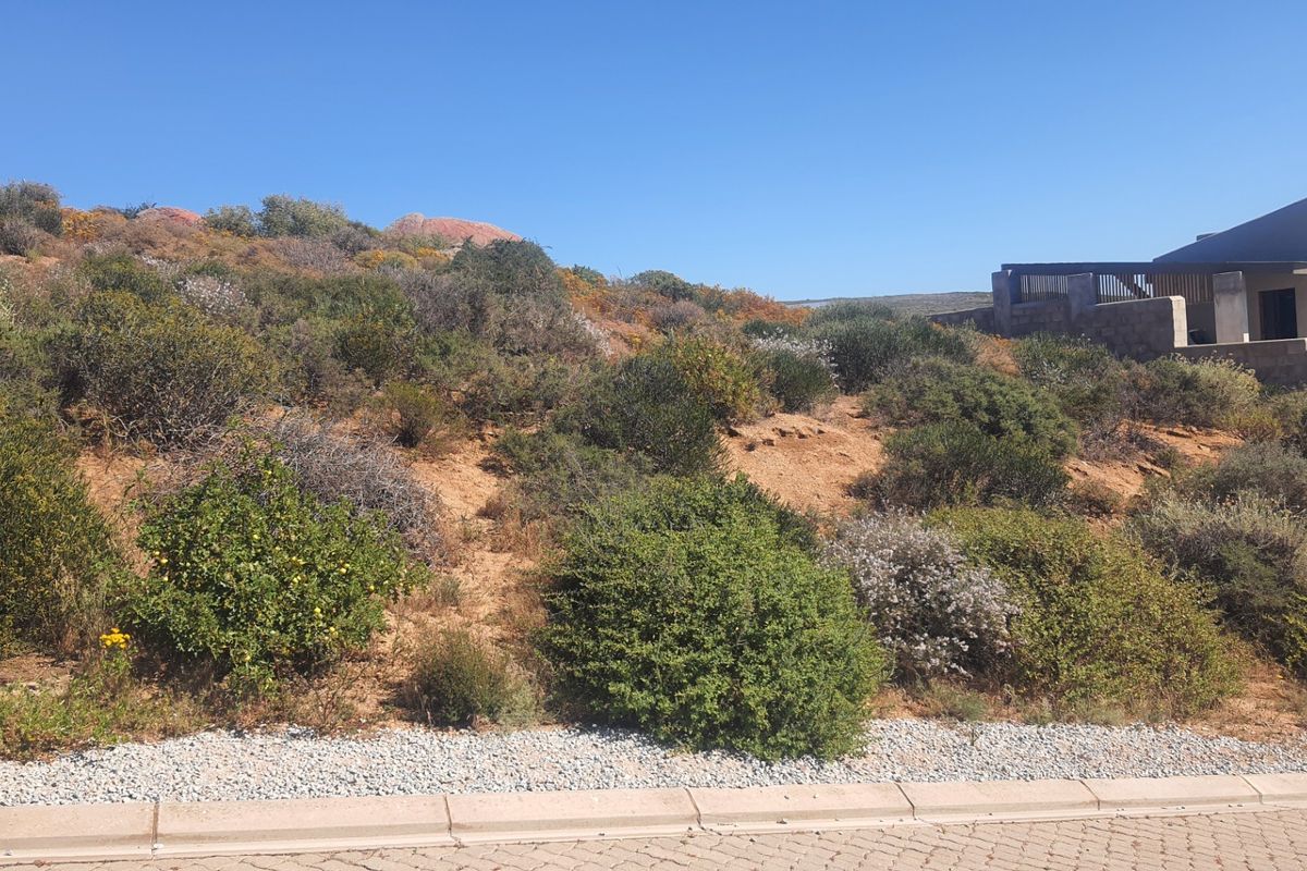 A sloped residential vacant land plot featuring natural vegetation, a paved curb, and an adjacent retaining wall structure.