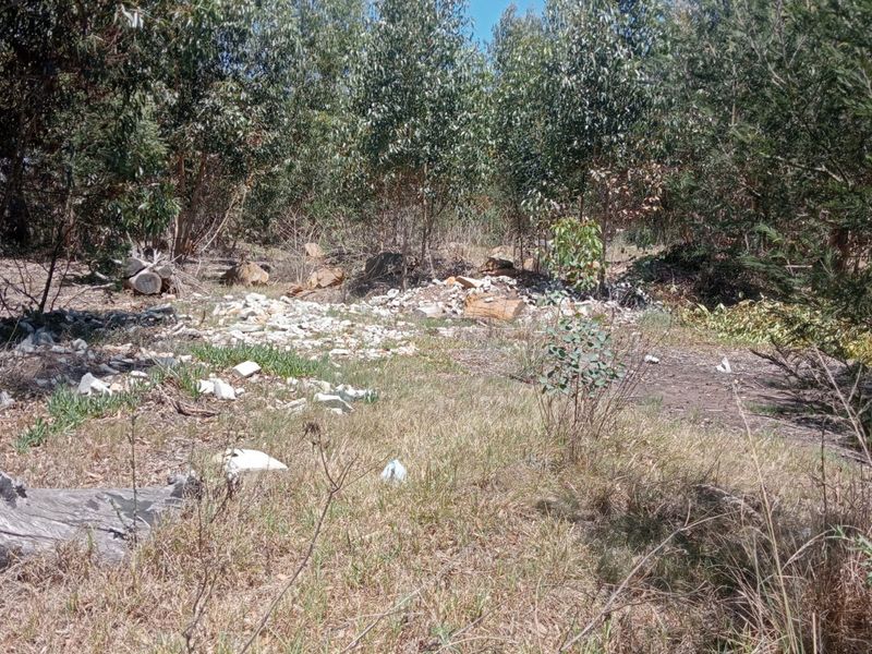 A view of a vacant residential plot featuring mature trees and natural vegetation with some scattered debris on the ground.