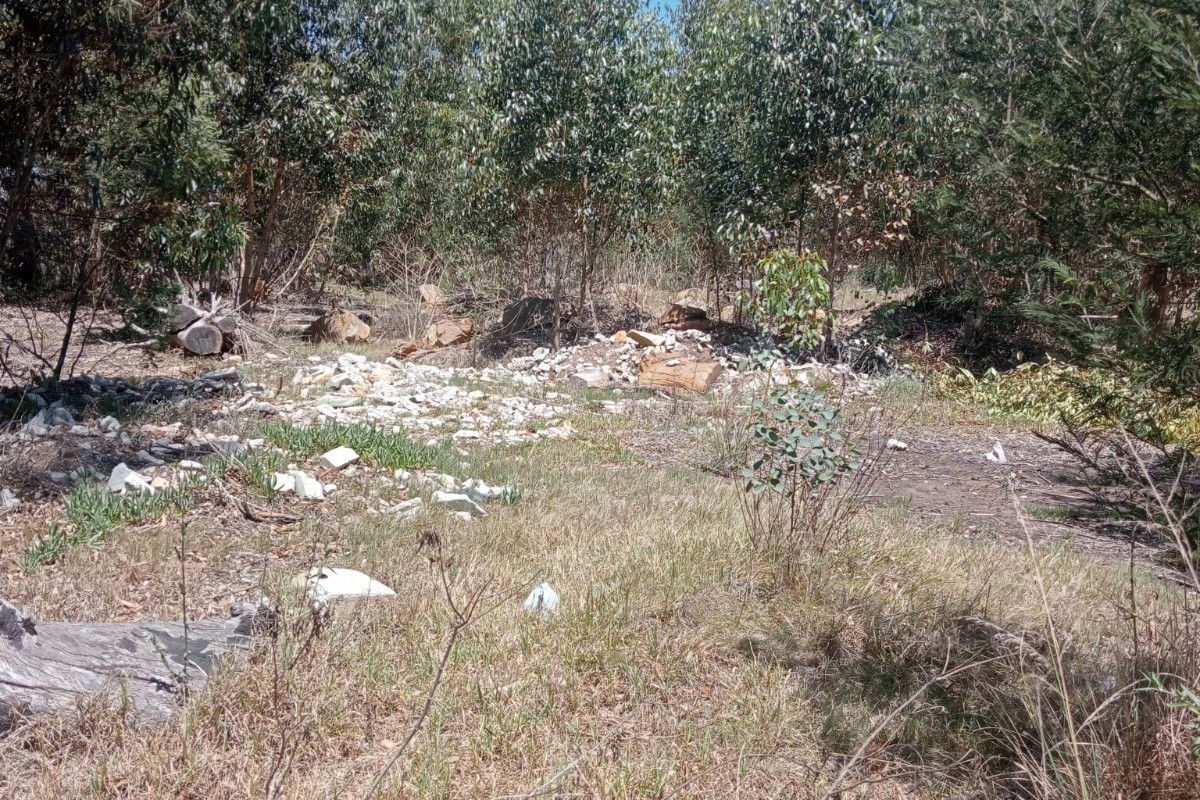 A view of a vacant residential plot featuring mature trees and natural vegetation with some scattered debris on the ground.