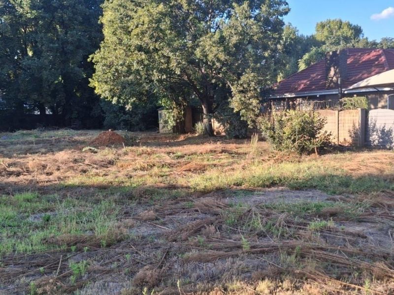 A vacant residential plot featuring mature trees, boundary walling with security fencing, and cleared ground ready for development.