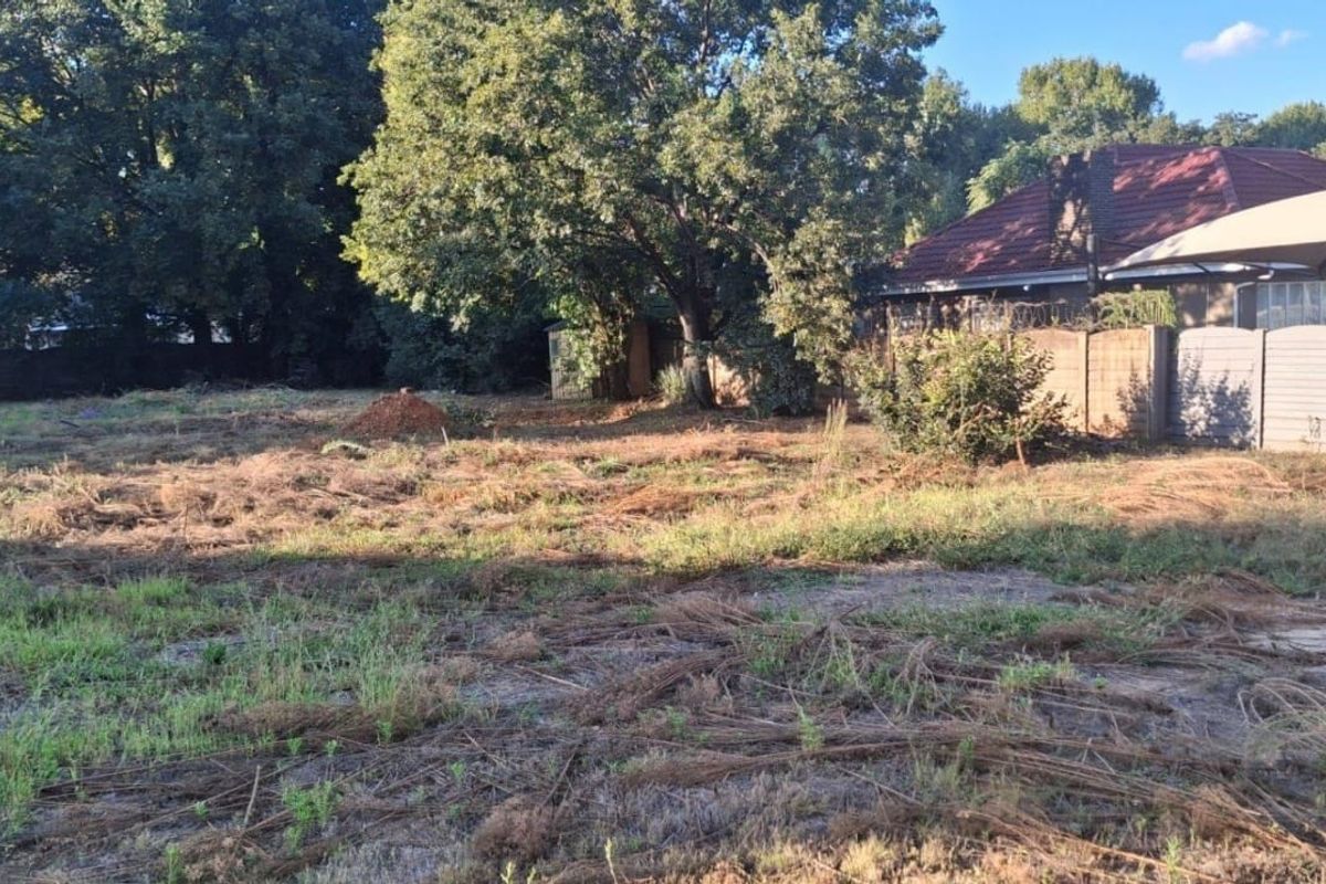 A vacant residential plot featuring mature trees, boundary walling with security fencing, and cleared ground ready for development.