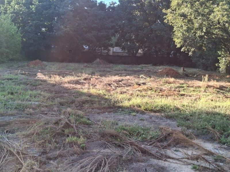 A vacant residential plot featuring cleared ground and mature trees along the perimeter, offering a blank canvas for future development.