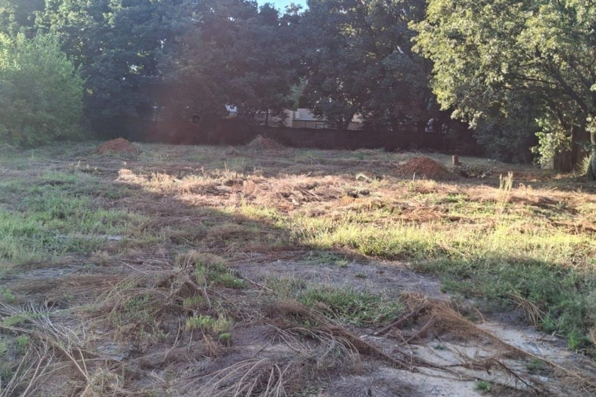 A vacant residential plot featuring cleared ground and mature trees along the perimeter, offering a blank canvas for future development.
