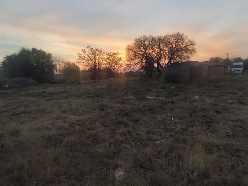 A view of a vacant residential plot featuring mature trees and natural landscape at sunset.