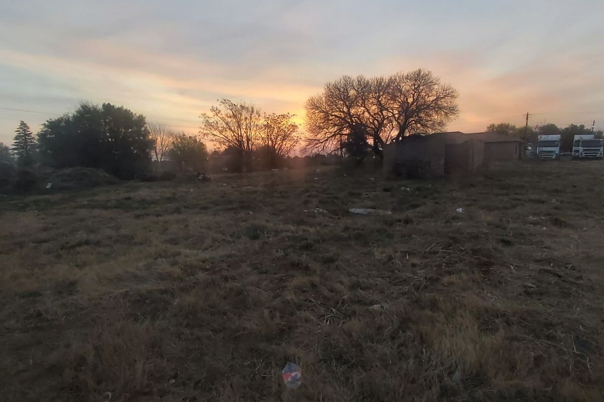 A view of a vacant residential plot featuring mature trees and natural landscape at sunset.