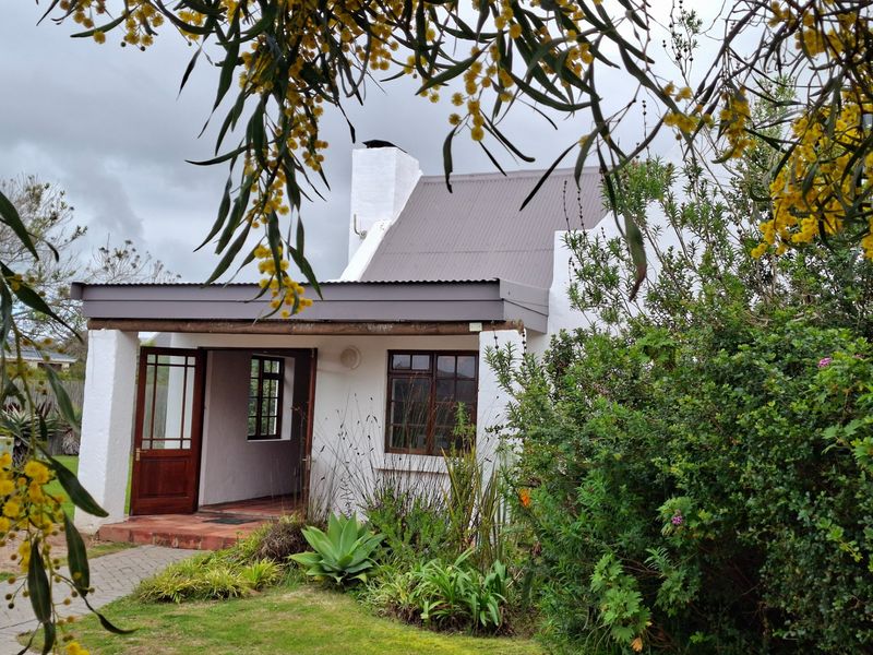 A charming cottage-style exterior featuring a covered patio, corrugated metal roof, and established garden surroundings.