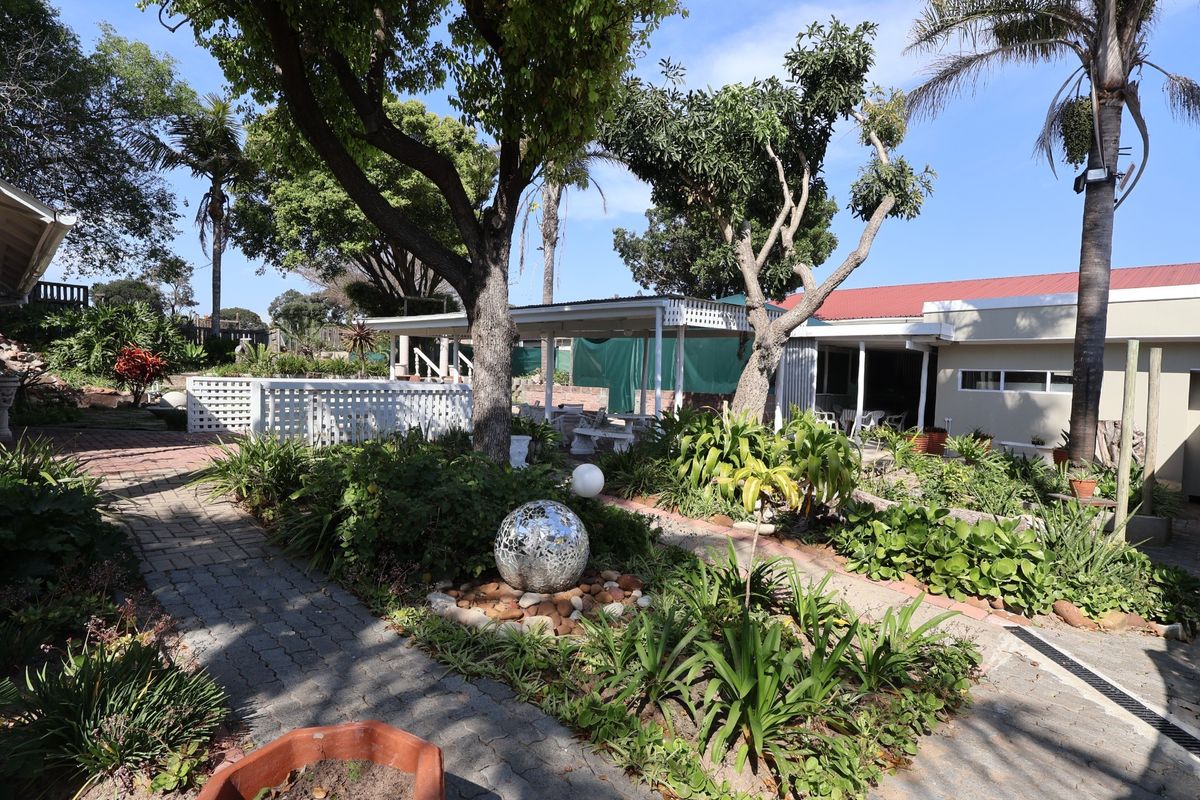 A well-maintained rear garden area featuring a paved walkway, mature trees, and a covered patio space attached to the main building structure.