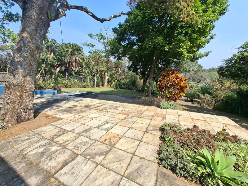 A spacious outdoor garden area featuring a stone-paved patio, mature trees, and a partial view of the swimming pool edge.