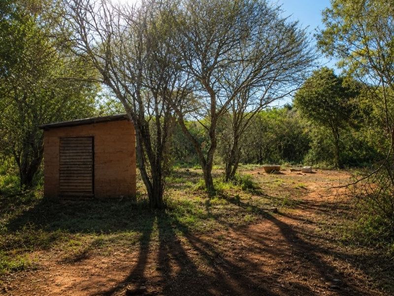 A rustic outbuilding situated on a natural farm landscape with mature trees and dirt pathways.