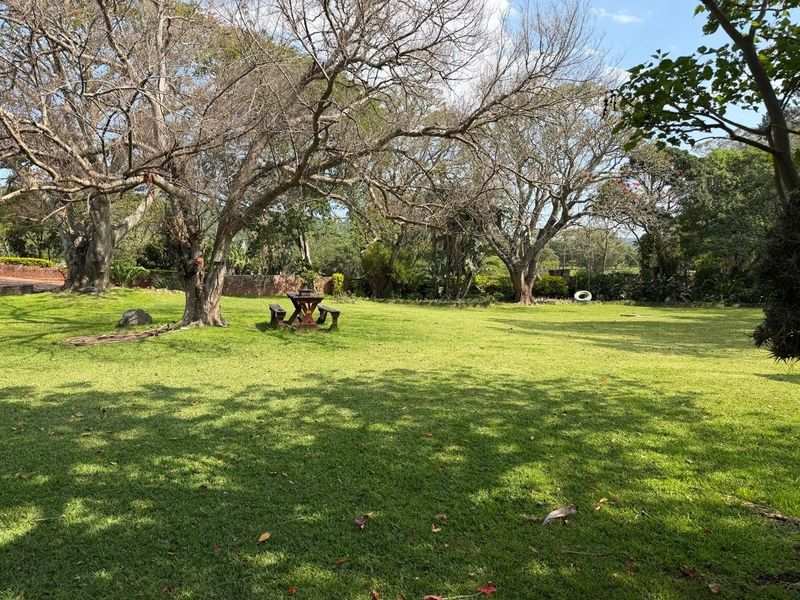 A spacious, well-maintained garden featuring expansive lawn areas, mature trees, and a brick boundary wall, providing a peaceful outdoor setting.