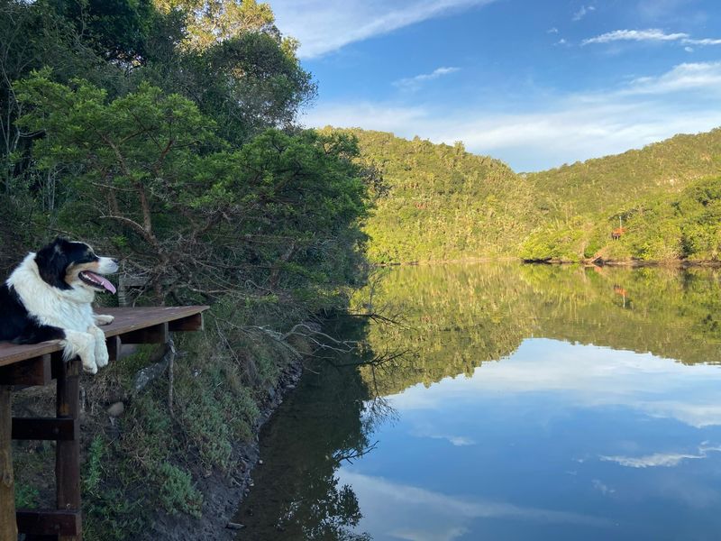 A scenic view of a calm river or lagoon surrounded by lush green hills, featuring a small wooden viewing deck.