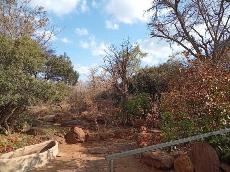 A naturalistic garden area featuring stone pathways, rock landscaping, and a rustic concrete trough set within a wooded farm landscape.