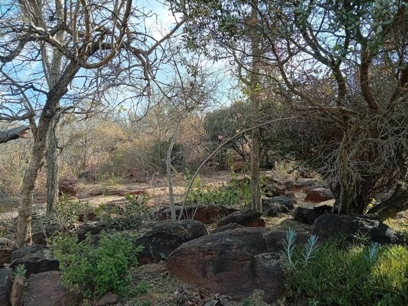 A natural, rugged garden area featuring indigenous trees and prominent rock formations, characteristic of the local farm landscape.