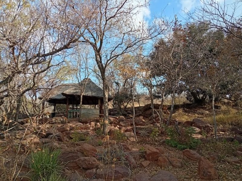 A natural, rocky garden setting featuring mature trees and a rustic thatched gazebo, offering a peaceful outdoor retreat on the farm property.