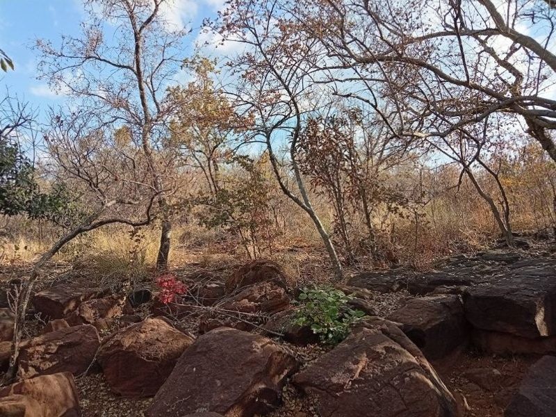 A natural landscape view featuring indigenous trees and prominent rock formations typical of the local farm terrain.