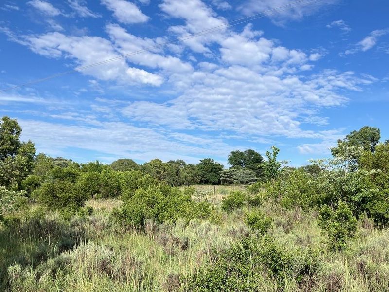 A scenic view of the expansive natural landscape featuring native trees, shrubs, and open grassland on the farm property.