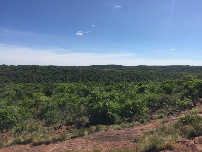 A scenic landscape view overlooking a vast expanse of lush green forest and natural terrain under a clear blue sky.
