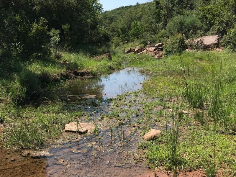 A scenic view of a natural stream flowing through the farm landscape, surrounded by indigenous trees and rock formations.