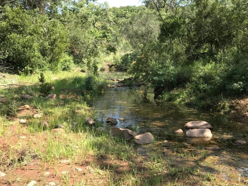 A scenic view of a natural stream flowing through the farm property, surrounded by lush indigenous trees and rocky terrain.