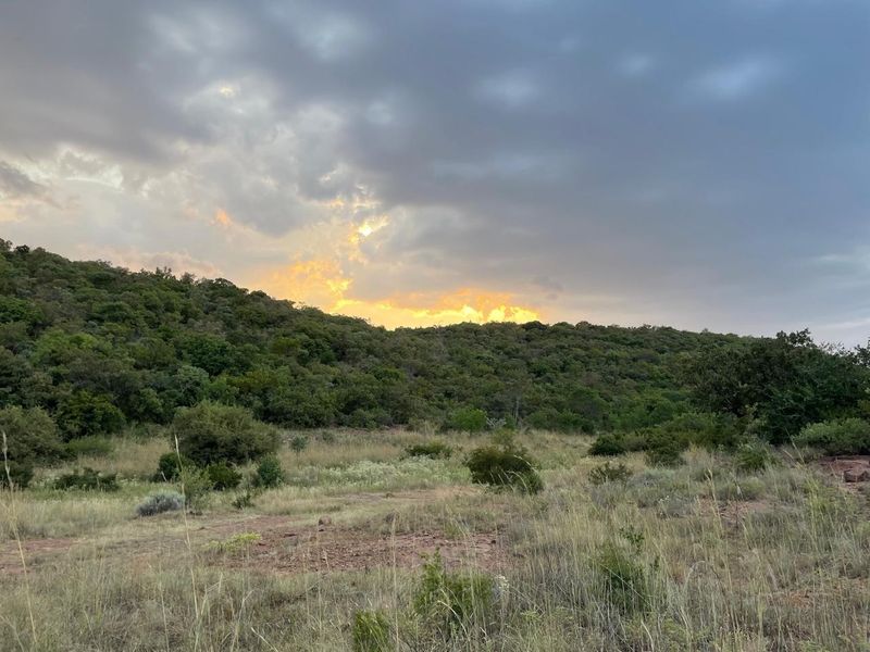 A scenic view of the natural landscape featuring rolling hills covered in indigenous vegetation under a dramatic sunset sky.