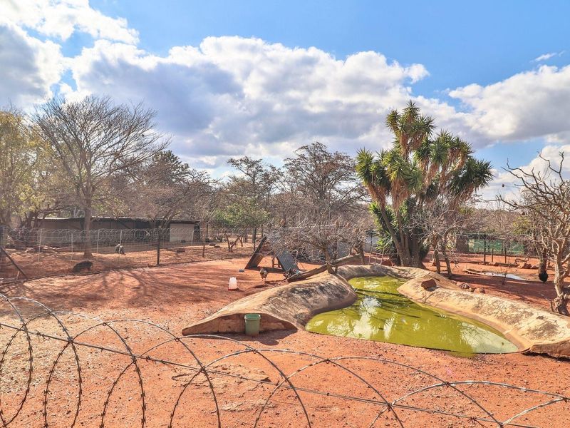 Expansive farm garden area featuring a concrete water feature, wire mesh animal enclosures, and perimeter barbed wire fencing.
